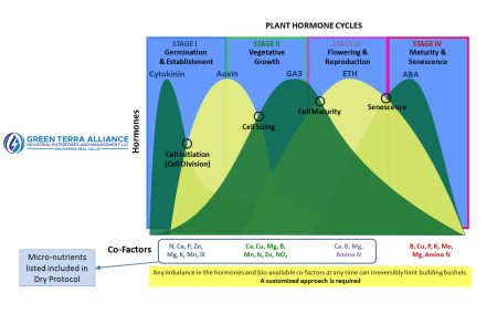 Plant-Hormone-Cycles